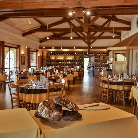 Logis Hotel Restaurant Solenca Nogaro Exterior photo
